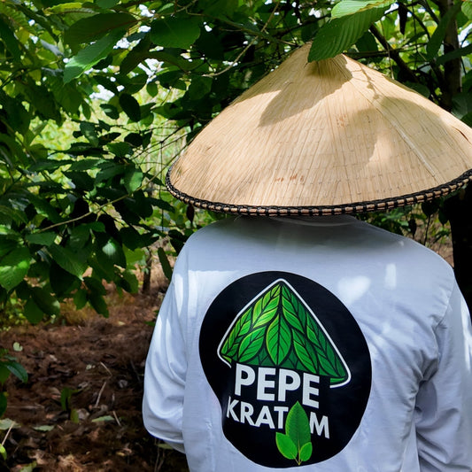 Jak vzniká náš kratom: od farmy až k vám domů
